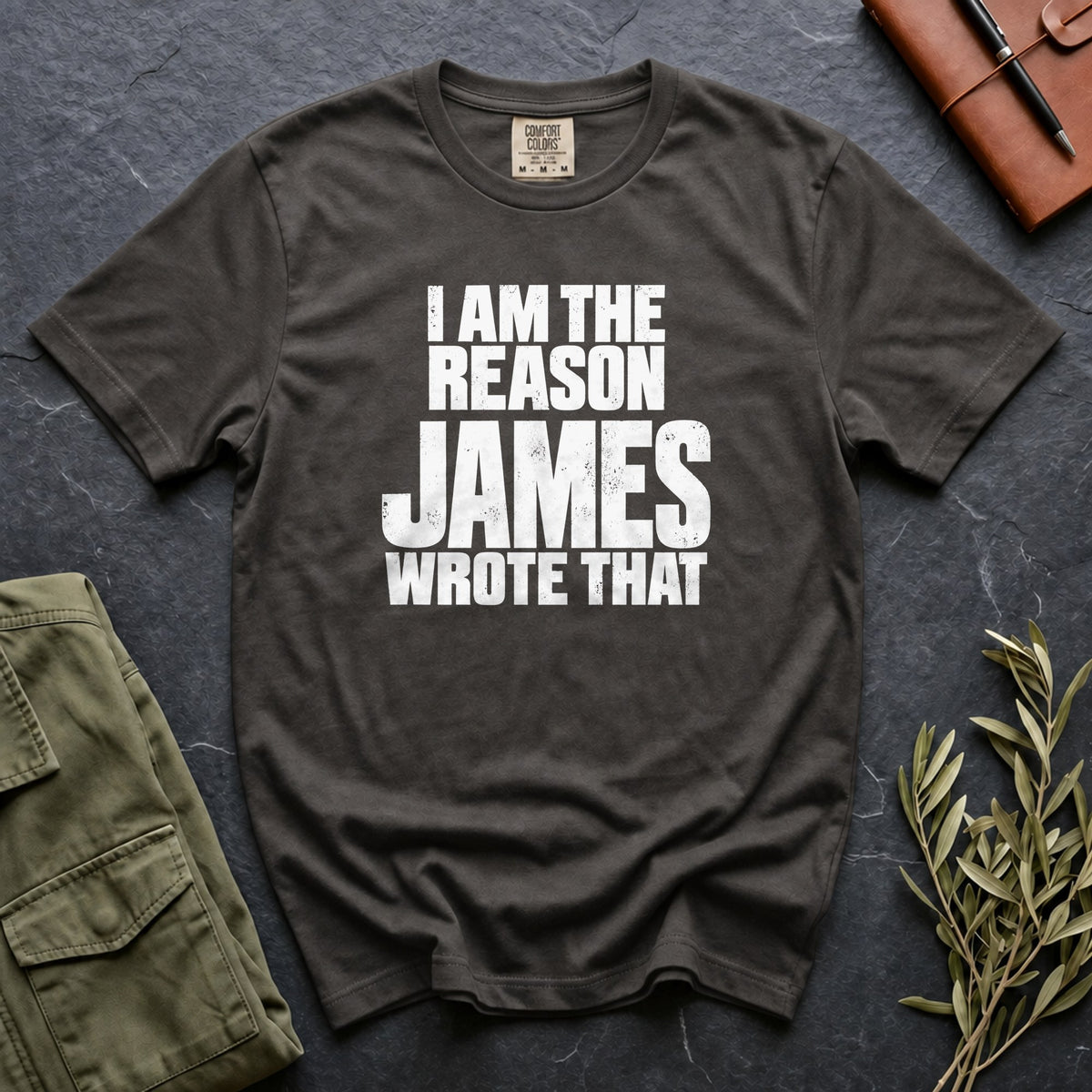 I Am the Reason James Wrote That Comfort Colors 1717 tee in Pepper