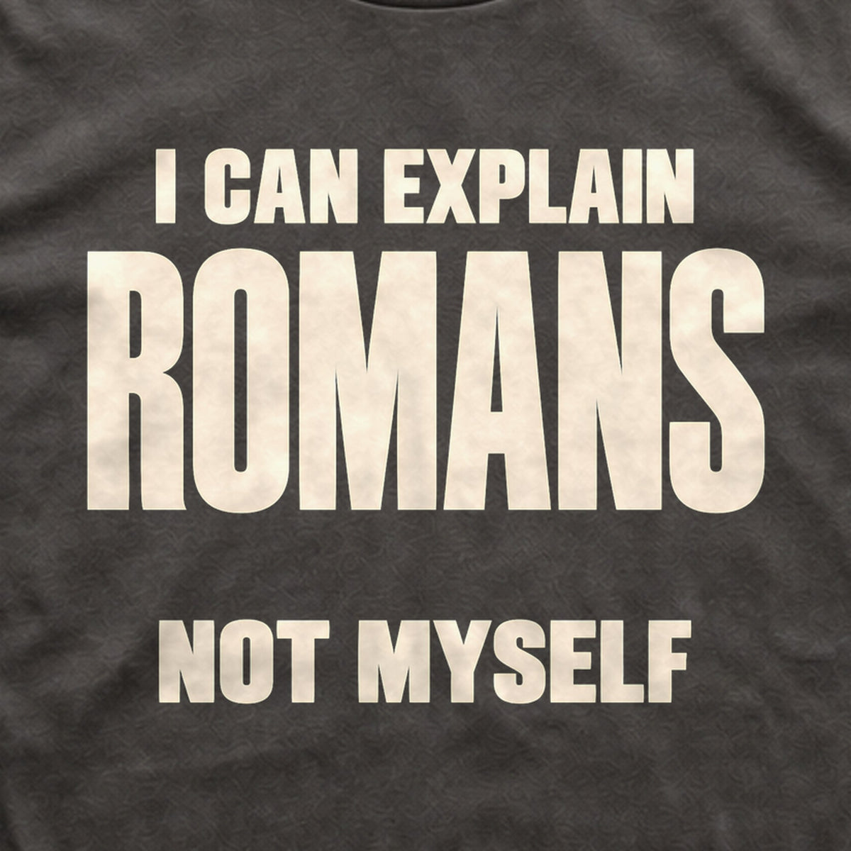 I Can Explain Romans, Not Myself tee print close-up